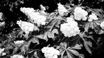 Особливі й особисті кадри Києва від українських фотографів