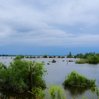 Лист моєму місту: журналістка Анна Лодигіна про окуповану Нову Каховку