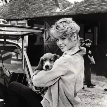 Чому домашні улюбленці — найкращі союзники ментального здоров’я та довголіття