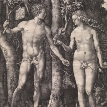 Все, що потрібно знати про Met Gala 2026 та нову виставку Інституту костюма