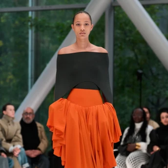 Знайдено головний колір 2026 року, який підкорює подіуми і червоні доріжки