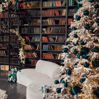 5 надзвичайно гарних українських книжок, які стануть чудовим подарунком на Різдво