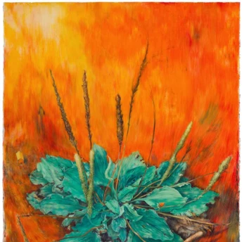 7 виставок, які варто встигнути побачити в січні