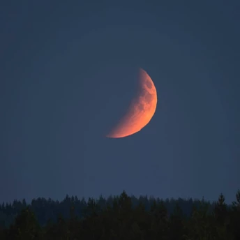 Сонячне затемнення Молодика 17 лютого 2026 року — переломний момент року за версією астрологів