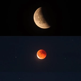 Молодик 17 лютого 2026 року: 3 знаки зодіаку, на які вплив сонячного затемнення буде особливий