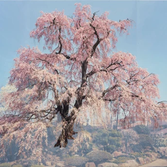 7 найцікавіших виставок весни у Києві та Львові