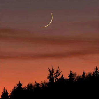 6 знаків відчують це найбільше: що принесе Молодик у Рибах 19 березня 2026 року