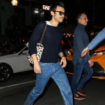 Не знаєте, як носити леопардовий принт — беріть приклад з Гаррі Стайлза