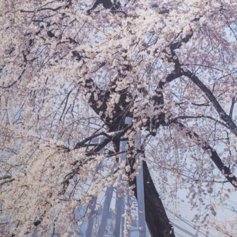 7 найцікавіших виставок квітня у Києві