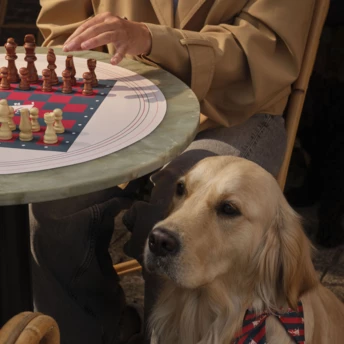 Наймодніші події міланського Тижня дизайну-2026