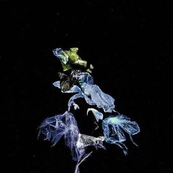 На фотоярмарку The Photography Show покажуть роботи українця Олексія Захова