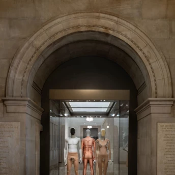 Що потрібно знати про Condé Nast Galleries — новий простір музею Метрополітен, присвячений моді