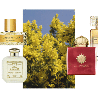 Жовта лихоманка: вісім найприємніших ароматів з ноткою мімози