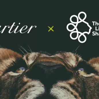 Cartier заключили сотрудничество c The Lion’s Share Fund