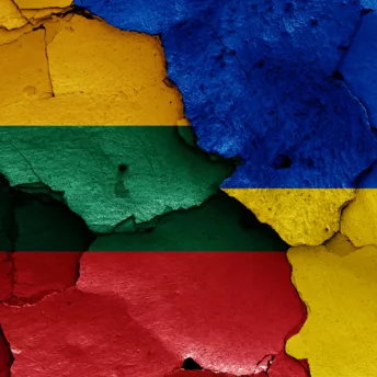 «І не думаємо втомлюватися»: як Литва сьогодні допомагає Україні