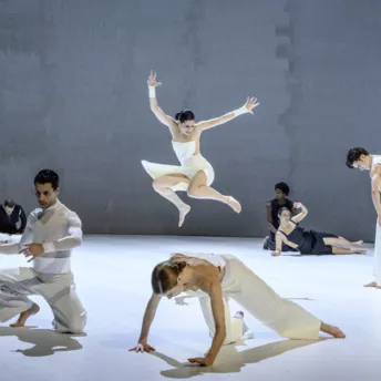 5 самых красивых балетов, которые нужно увидеть этой зимой