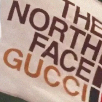 Gucci й The North Face працюють над колаборацією