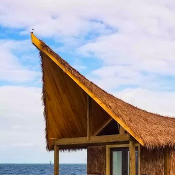Настрій океан: 9 пляжних котеджів на Airbnb, від яких не відвести погляд
