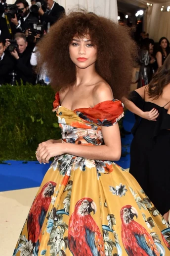 Пряма трансляція MET GALA 2025