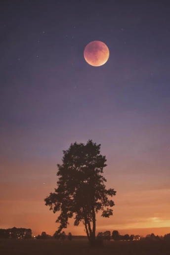 Повне місячне затемнення та Кривавий Місяць 7 вересня 2025: 5 ритуалів, щоб залучити його енергію