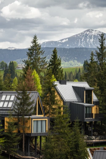 Workation у горах: 5 причин дозволити собі відпочинок та роботу в Карпатах