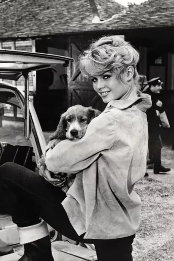 Чому домашні улюбленці — найкращі союзники ментального здоров’я та довголіття