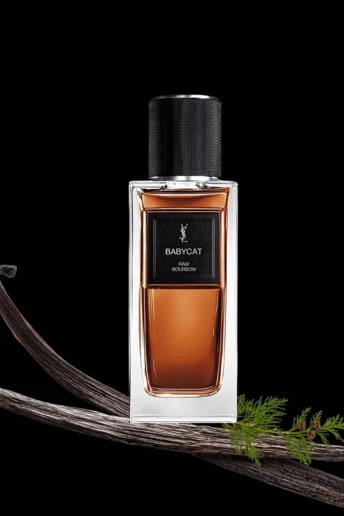 Ідеальний зимовий парфум: новинка Yves Saint Laurent, від якої неможливо відірватися