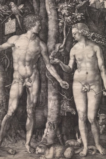 Все, що потрібно знати про Met Gala 2026 та нову виставку Інституту костюма