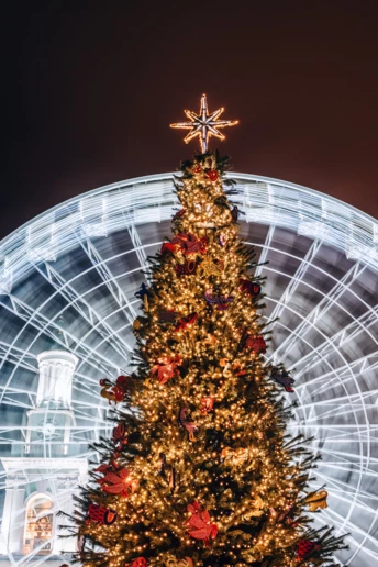 Плани на вихідні: 3 благодійні ініціативи на Миколая, до яких ви захочете долучитися