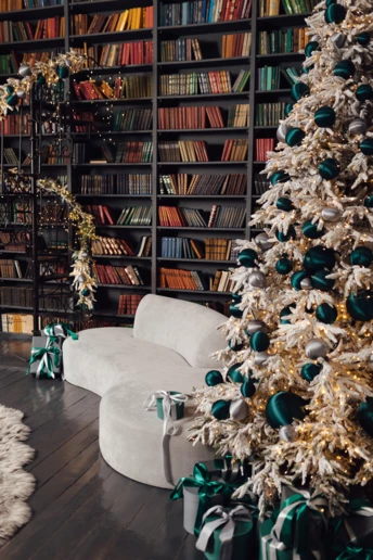 5 надзвичайно гарних українських книжок, які стануть чудовим подарунком на Різдво