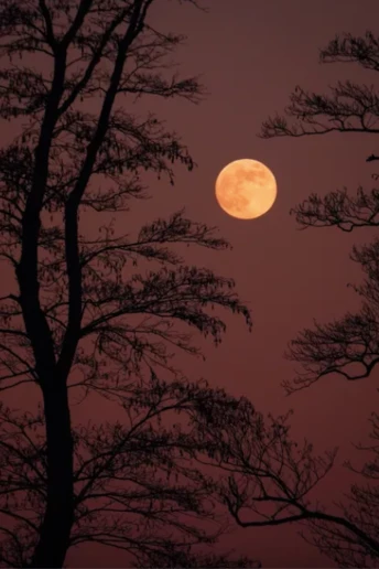 Час діяти: великі астрологічні події 2026 року, які змінять нас усіх