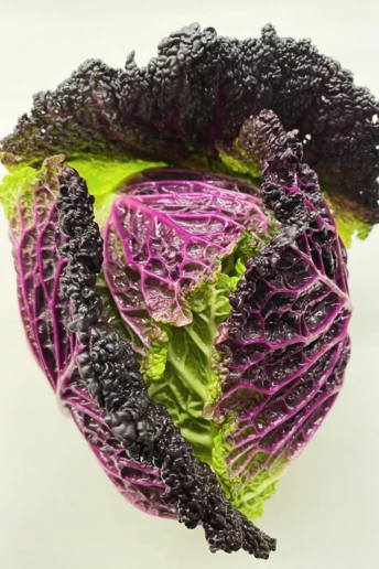 2026-й проголошено роком капусти: ось чому всі про неї говорять