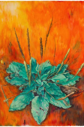 7 виставок, які варто встигнути побачити в січні