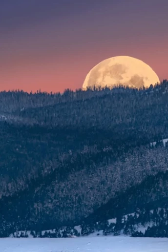 Снігова Повня 1 лютого 2026: чотири знаки, які переживуть важливі зміни