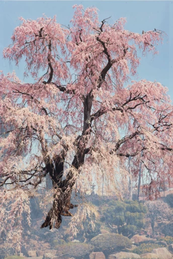 7 найцікавіших виставок весни у Києві та Львові