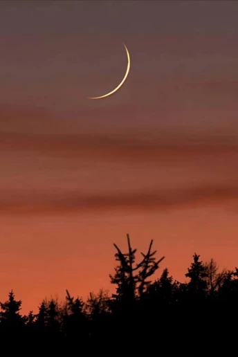 6 знаків відчують це найбільше: що принесе Молодик у Рибах 19 березня 2026 року