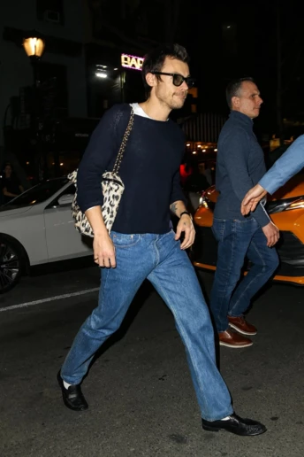 Не знаєте, як носити леопардовий принт — беріть приклад з Гаррі Стайлза