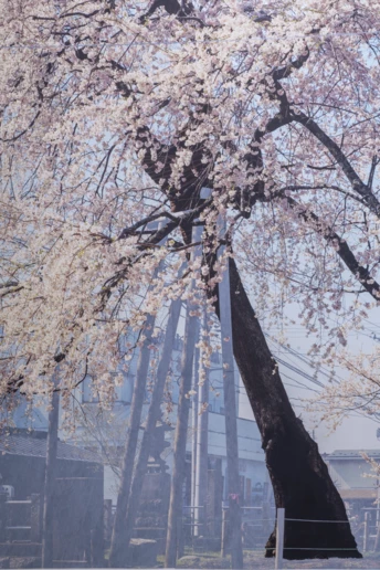 7 найцікавіших виставок квітня у Києві