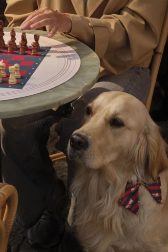 Наймодніші події міланського Тижня дизайну-2026