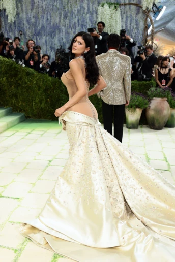 Яблуко від яблуні: найгарніші образи матерів та доньок на Met Gala 2026