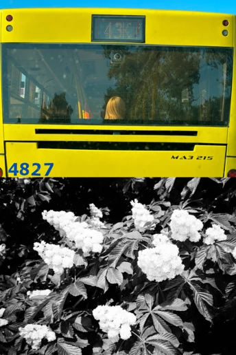 Особливі й особисті кадри Києва від українських фотографів
