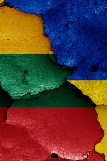 «І не думаємо втомлюватися»: як Литва сьогодні допомагає Україні