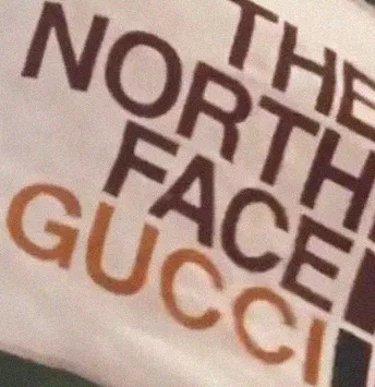 Gucci и The North Face работают над коллаборацией