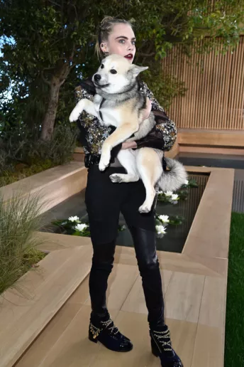 Кара Делевинь с собакой Лео: как это было на шоу Chanel