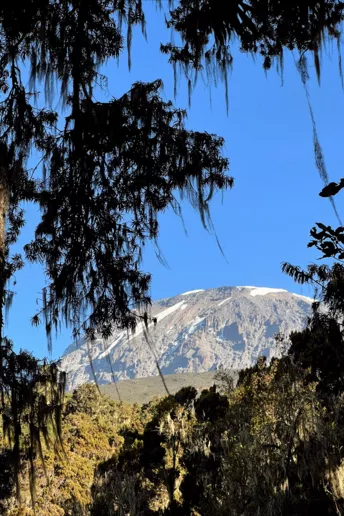 Личный опыт: как я поднялась на Килиманджаро
