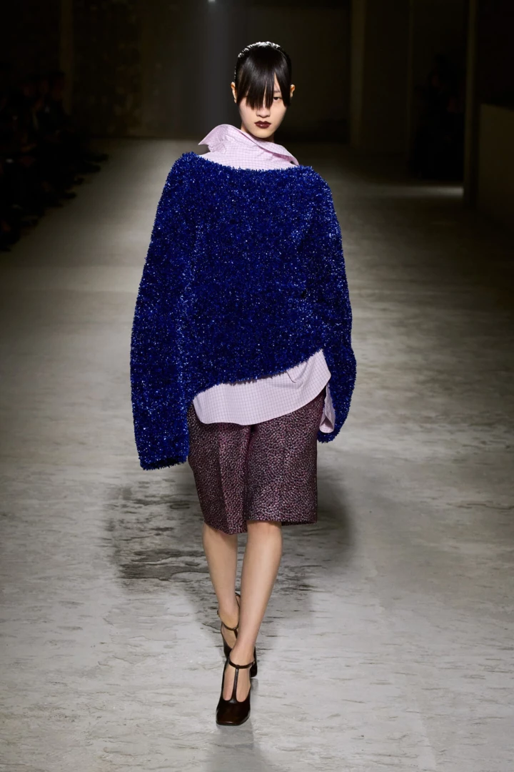 &lt;b&gt;Dries Van Noten осінь-зима 2024/2025&lt;/b&gt;