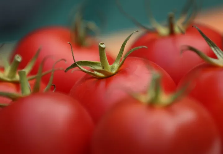 Пецепты для тех, кто худеет по Дюкану: помидоры