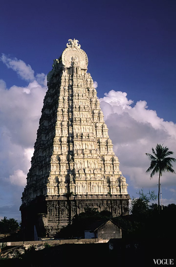 Во дворе храма Шри Экамбарешвара растет священное дерево манго, которому, согласно преданию, 3500 лет

