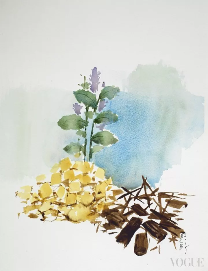 Эскиз базовых нот аромата в исполнении севильского художника Benjamin Castillo