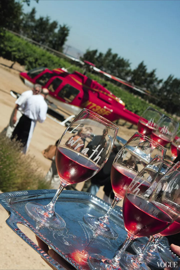 Калифорнийские вина получают свое название по сорту винограда, который должен составлять не менее 75 % от объема. Впрочем, многие виноделы считают своими лучшими винами не сортовые, а смешанные